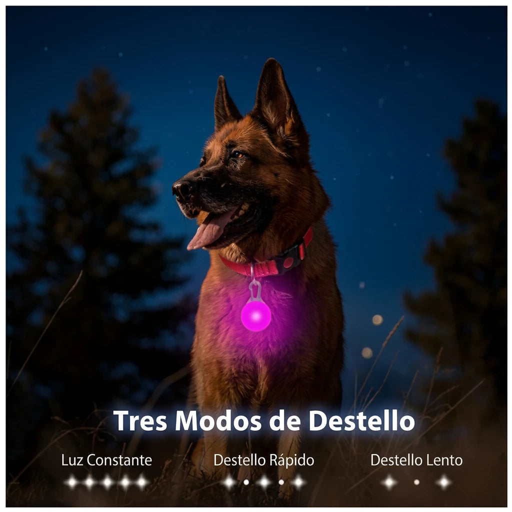 COLLAR LED