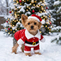 TRAJE NAVIDEÑO PERRO Y GATO