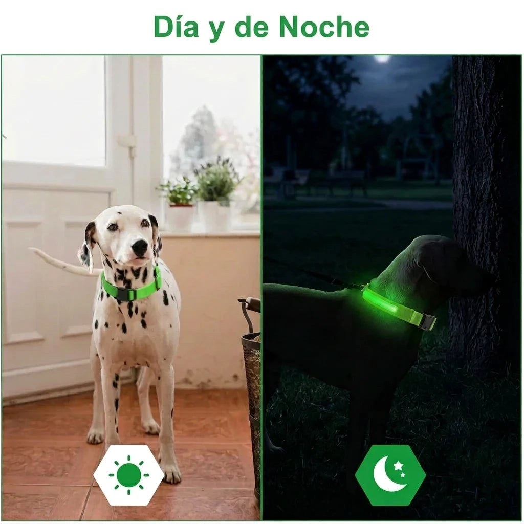 COLLAR LED