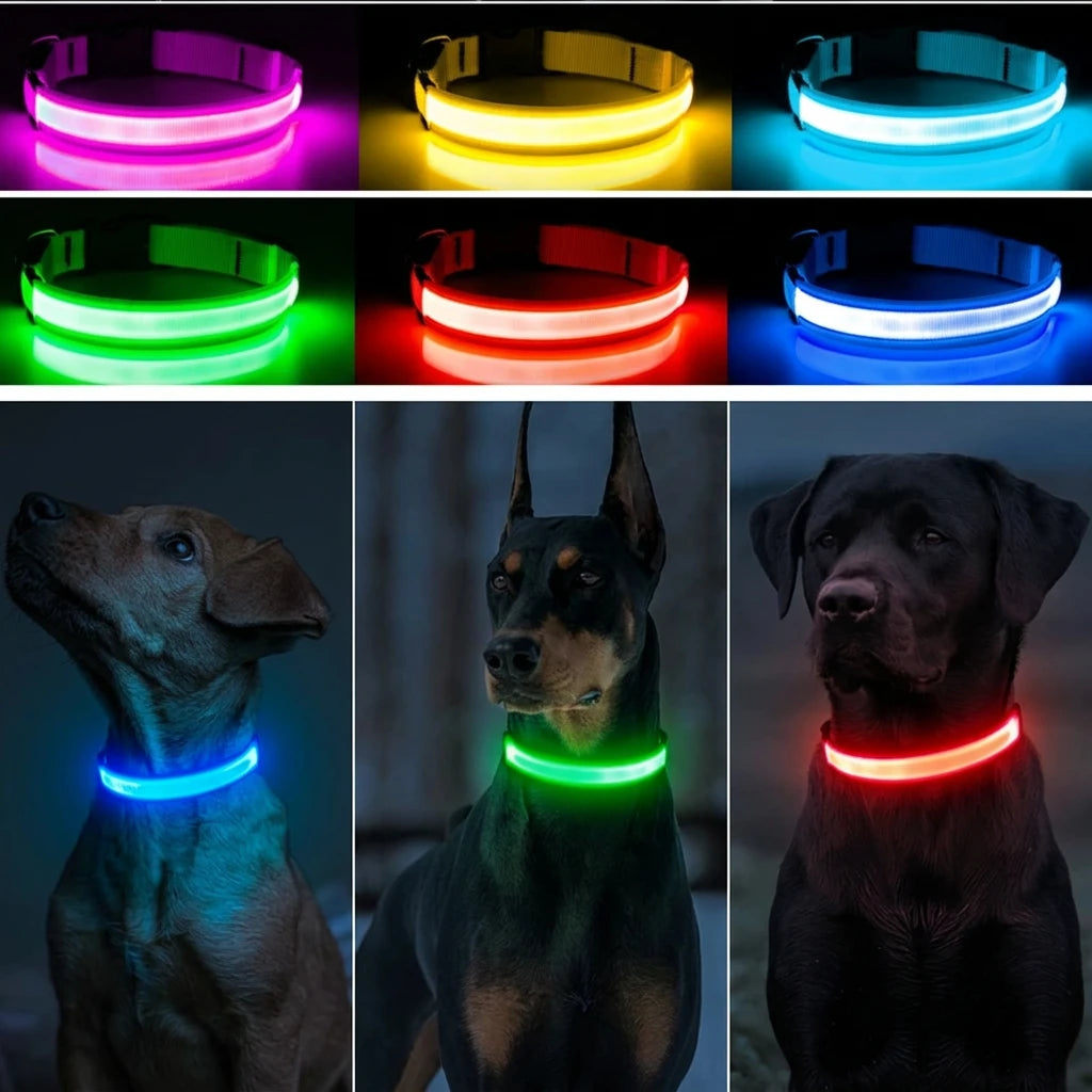 COLLAR LED