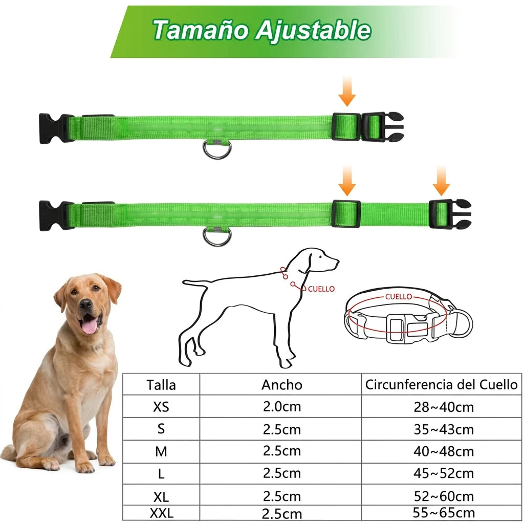 COLLAR LED