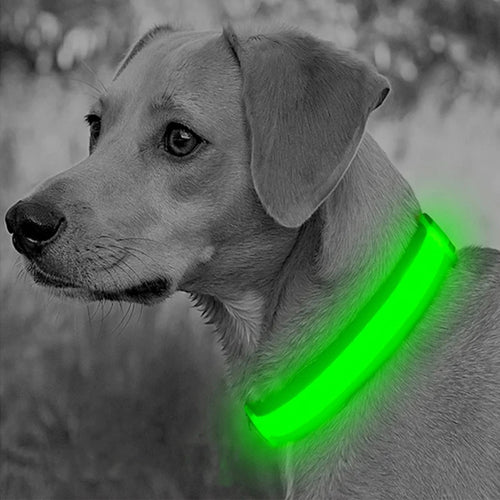 COLLAR LED